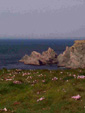 Pen Men - Groix